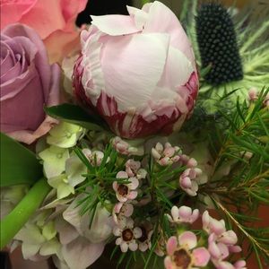 Meet your Posher, Kate